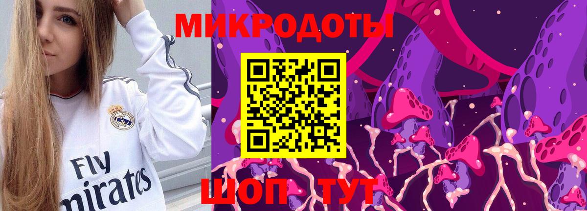 Галлюциногенные грибы Cubensis Новодвинск