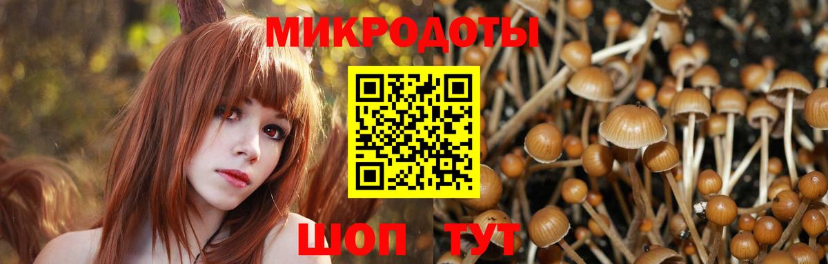 Новодвинск  Псилоцибиновые грибы Magic Shrooms  Галлюциногенные грибы мицелий  Вход с VPN 